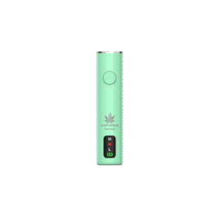 Smartpen green