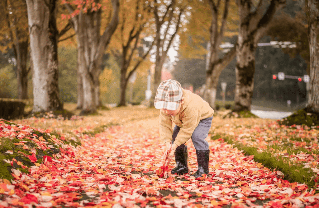 Summer To Fall: How We Adjust Our Vaping Routine for Cannabis Enjoyment